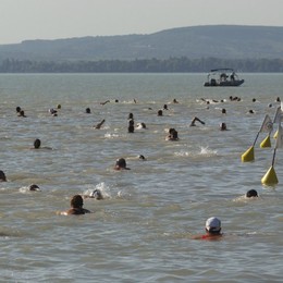 Balaton-Durchschwimmen!
